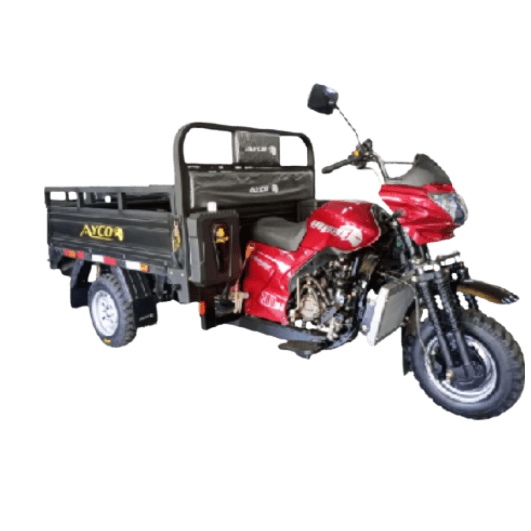 AYCO AY200 ZH - 2